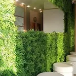 Aparthotel Per Vacanze Anchisemare Alba Adriatica